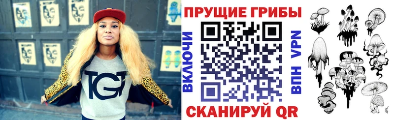 Галлюциногенные грибы Psilocybe  Краснокамск 
